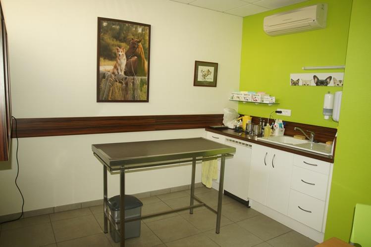 Clinique vétérinaire Belle isle, Clinique Vétérinaire Belle Isle